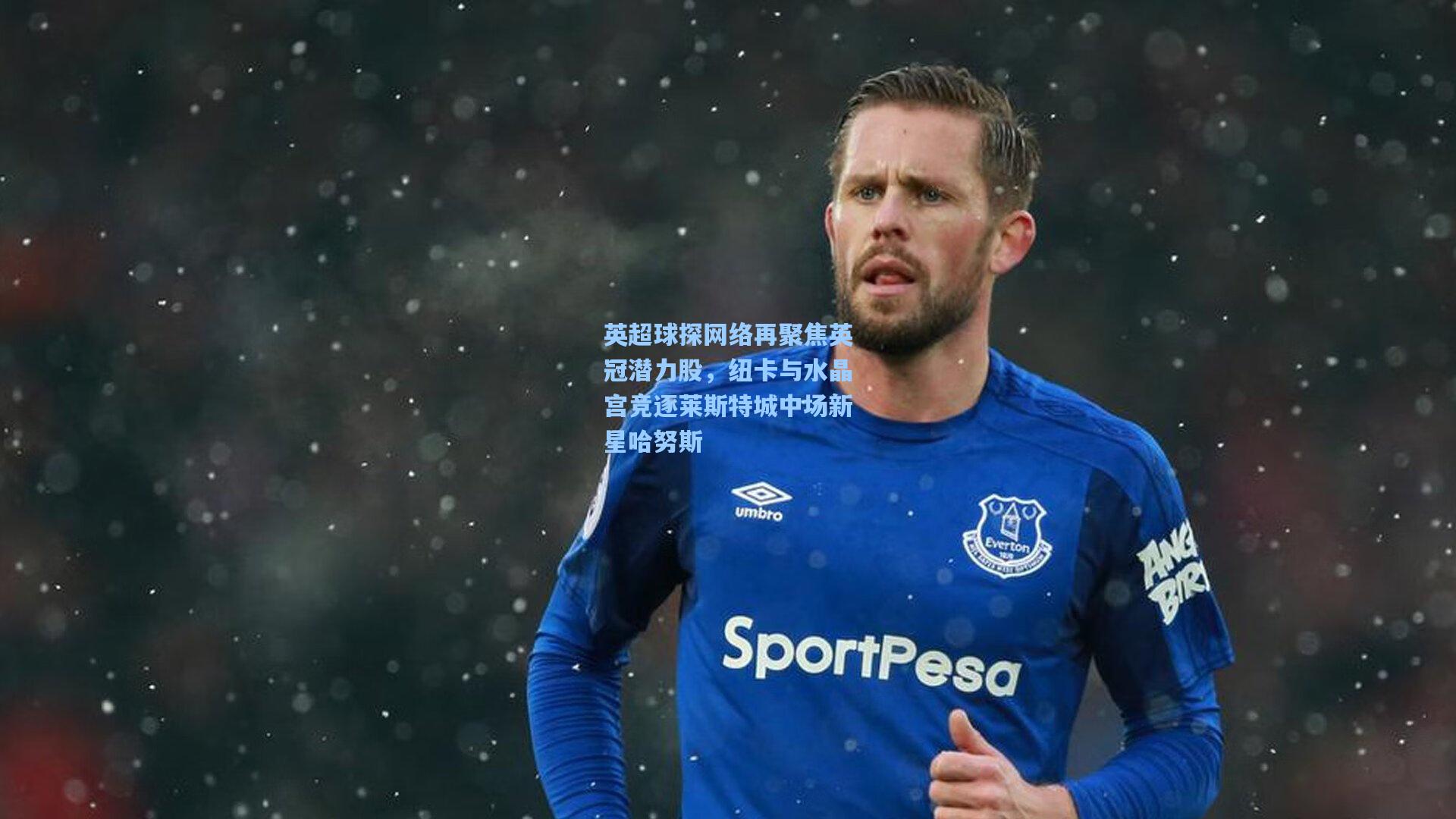 英超球探网络再聚焦英冠潜力股，纽卡与水晶宫竞逐莱斯特城中场新星哈努斯