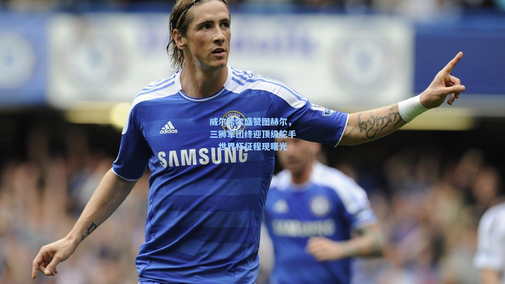 威尔希尔盛赞图赫尔，三狮军团终迎顶级舵手，世界杯征程现曙光