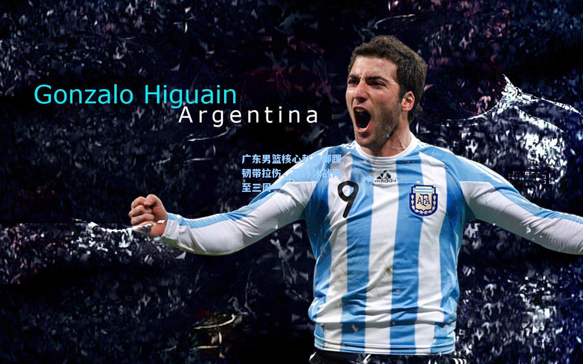 广东男篮核心赵睿脚踝韧带拉伤，预计休战两至三周